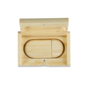 Kit Pen Drive Ecológico 8GB/16GB/32GB                   066